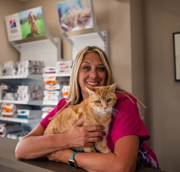 A person in a pink uniform holds an orange cat inside a shop with shelves of pet supplies in the background.